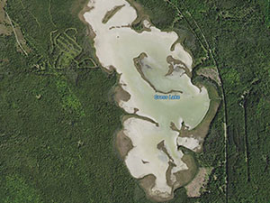 Grass Lake Homes and Land for Sale